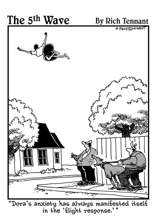  "Dora's anxiety has always manifested itself in the 'flight response.'"