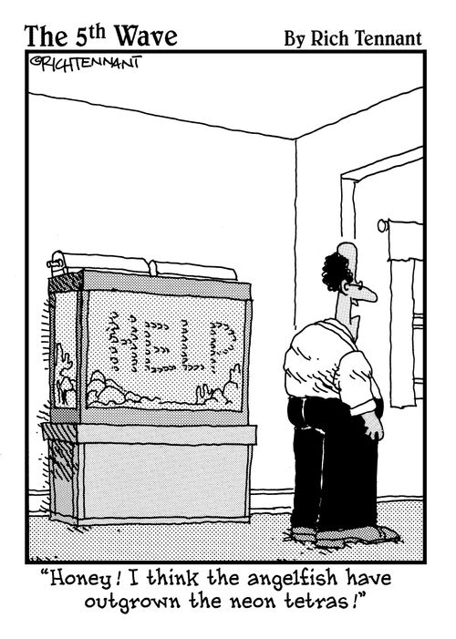 "Honey! I think the angelfish have outgrown the neon tetras!"