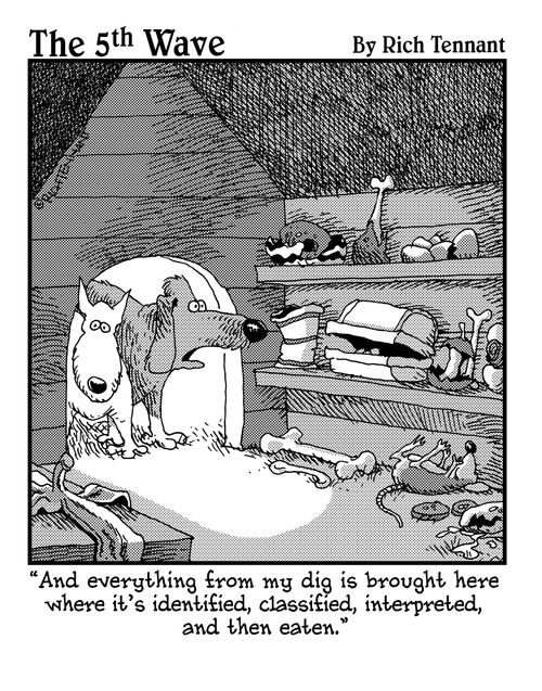 "And everything from my dig is brought here where it's identified, classified, interpreted, and the eaten."