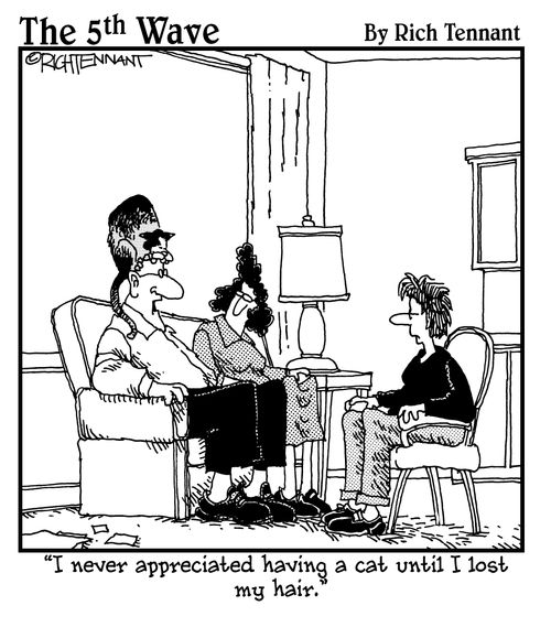 "I never appreciated having a cat until I lost my hair."