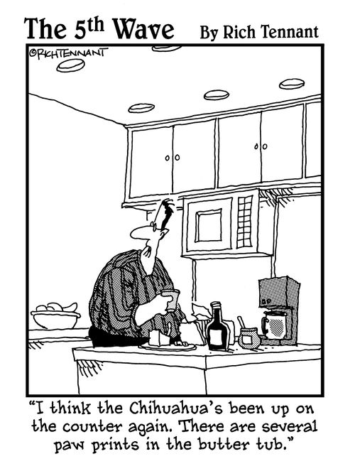 "I think the Chihuahua's been up on the counter again. There are several paw prints in the butter tub."