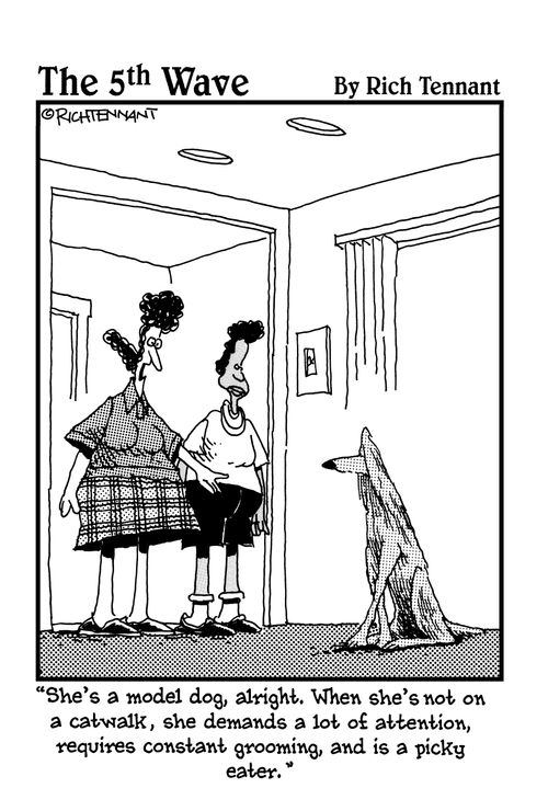 "She's a model dog, alright. When she's not on a catwalk, she demands a lot of attention, requires constant grooming, and is a picky eater."