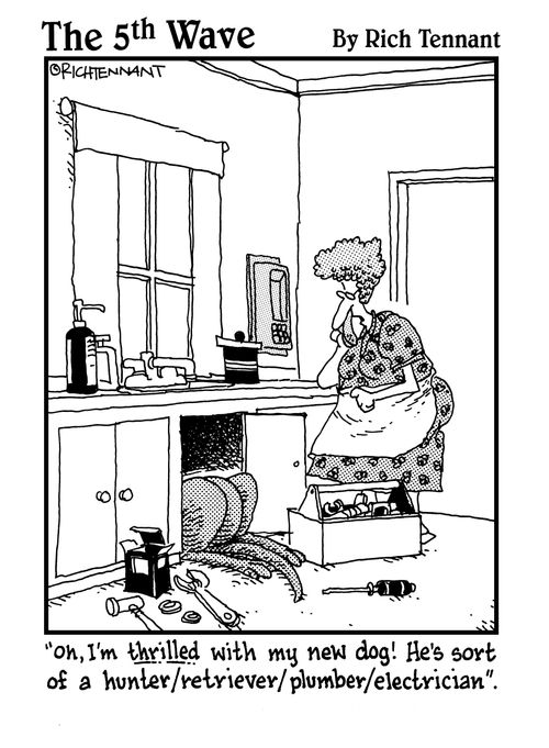 "Oh, I'm thrilled with my new dog! He's sort of a hunter/retriever/plumber/electrician."