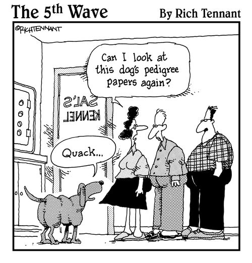 "Can I look at this dog's pedigree papers again?"