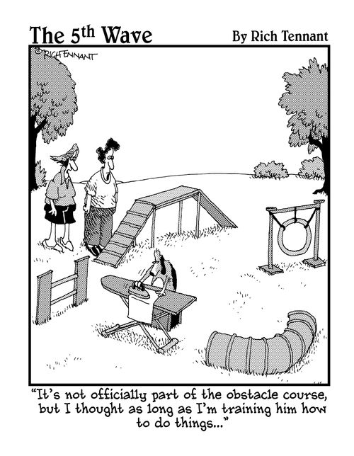  "It's not officially part of the obstacle course, but I thought as long as I'm training him how to do things..."