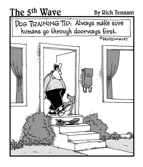  Dog training tip: always make sure humans go through the doorways first.