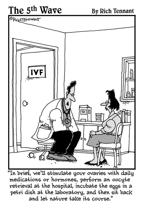 "In brief, we'll stimulate your ovaries with daily medications or hormones, perform an oocyte retrieval at the hospital, incubate the eggs in a petri dish at the laboratory, and then sit back and let nature take its course"