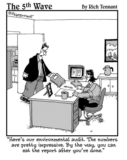 "Here's our environmental audit. . ."
