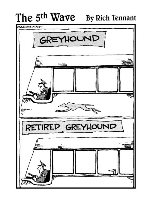 Greyhound/Retired Greyhound