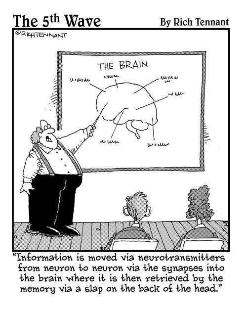 "Information is moved via neurotransmitters from neuron to neuron via the synapses into the brain where it is then retrieved by the memory via a slap on the back of the head."