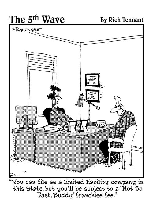"You can file as a limited liability company in this State, but you'll be subject to a 'Not So Fast, Buddy' franchise fee."