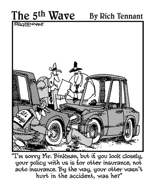 "I'm sorry, Mr. Binkman, but if you look closely, your policy with us is for otter insurance, not auto insurance. By the way, your otter wasn't hurt in the accident, was he?"