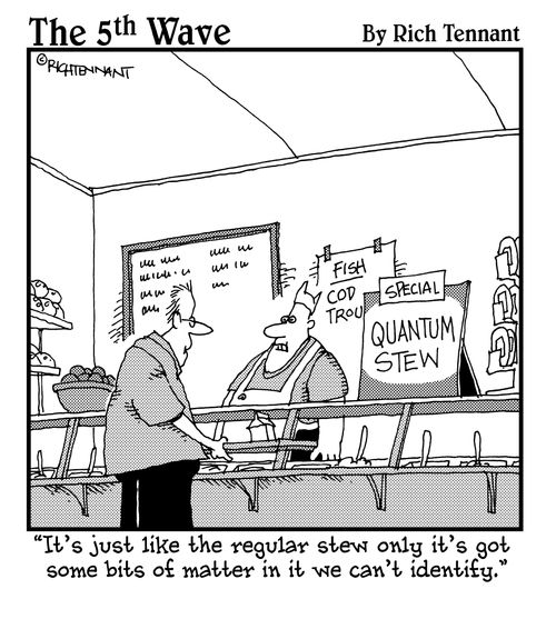 "It's just like the regular stew only it's got some bits of matter in it we can't identify."