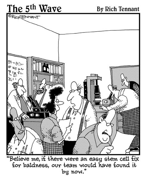 "Believe me, if there were an easy stem cell fix for baldness, our team would have found it by now."