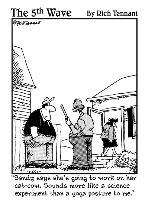 "Sandy says she's going to work on her cat-cow. Sounds more like a science experiment than a yoga posture to me."