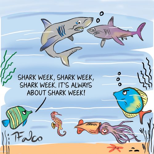  "Shark week, shark week, shark week. It's always about shark week."