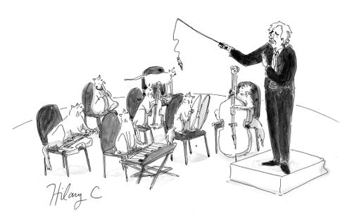 Conducting Cats