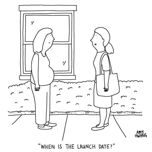 "When is the launch date?"