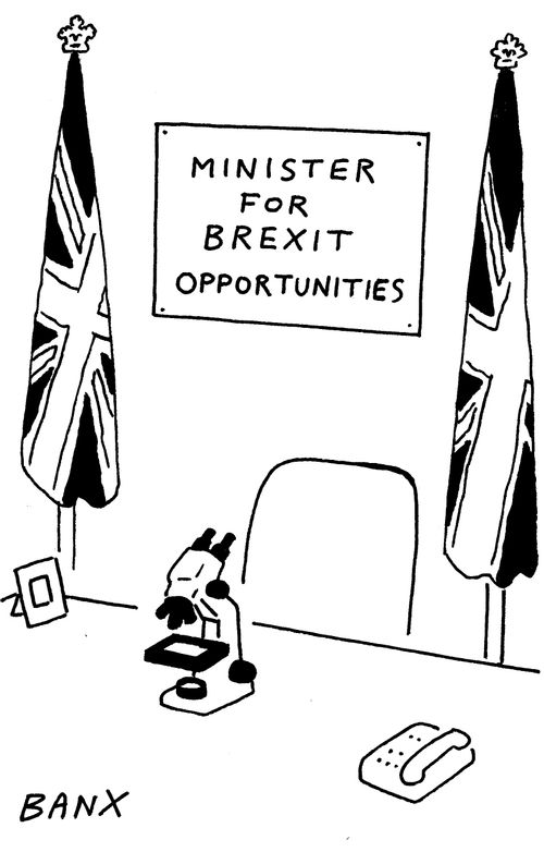 Minister for Brexit Opportunities