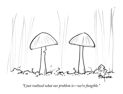 "I just realized what our problem is - we're fungible."