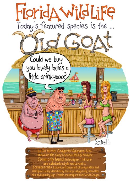 Florida Wildlife Today's Featured Species is the Old Goat