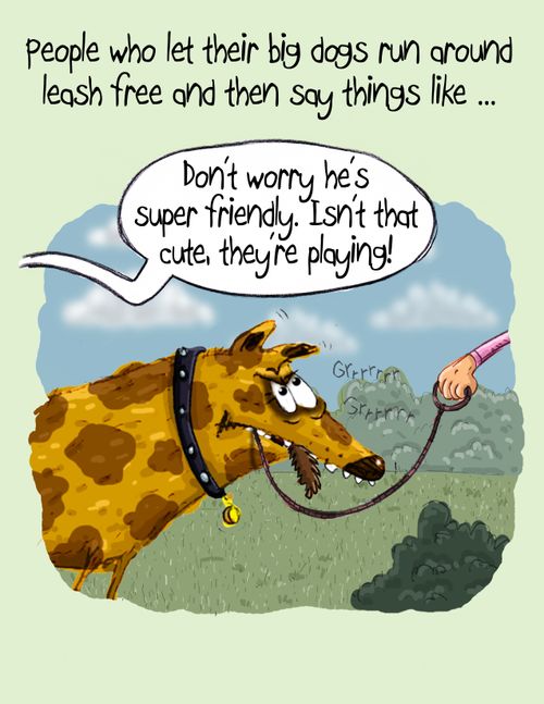 People who let their big dogs run around leash free and then say things like. . . 