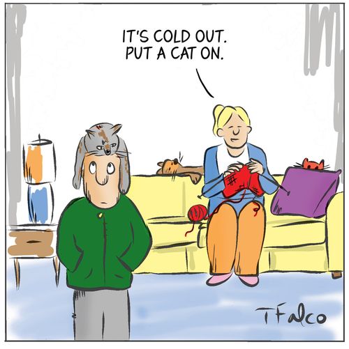 "It's cold out. Put a cat on."