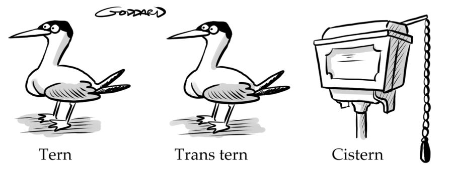 Tern, trans tern and cistern.
