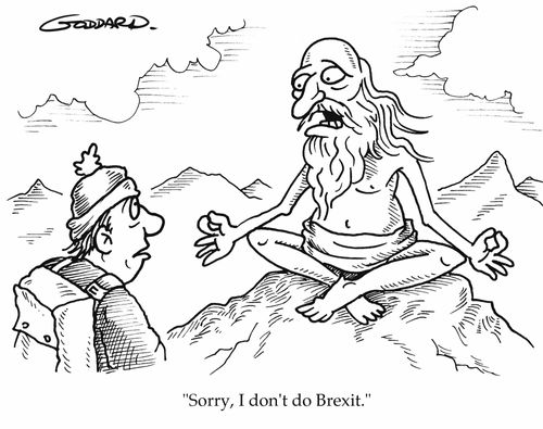 "Sorry, I don't do Brexit."
