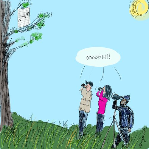 Spotters