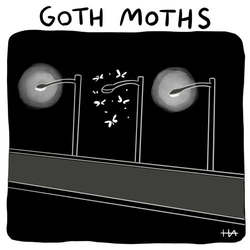Goth Moths