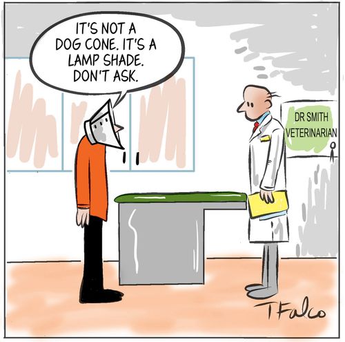 "It's not a dog cone. It's a lamp shade. Don't ask."
