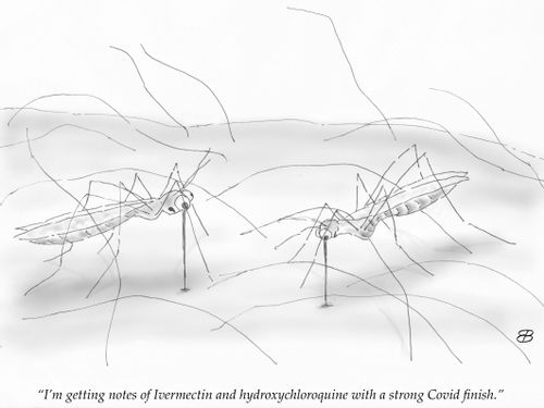 "I'm getting notes of Ivermectin and hydroxychloroquine with a strong Covid finish."