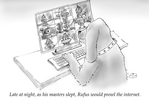 "Late at night, as his masters slept, Rufus would prowl the internet."