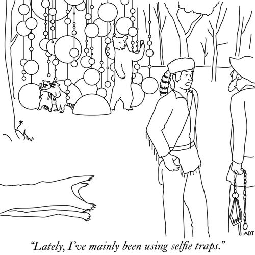 "Lately, I've mainly been using selfie traps."