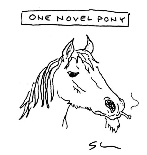 One Novel Pony