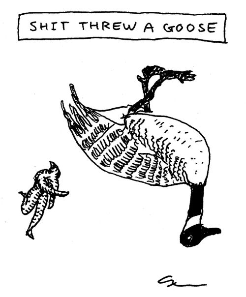 S**t Threw a Goose