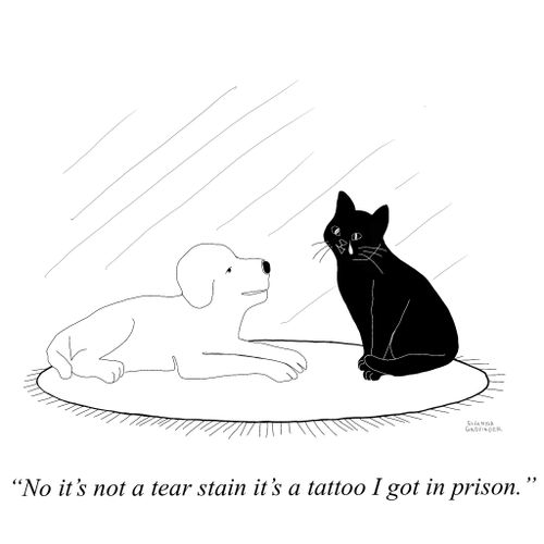 "No it's not a tear stain it's a tattoo I got in prison."