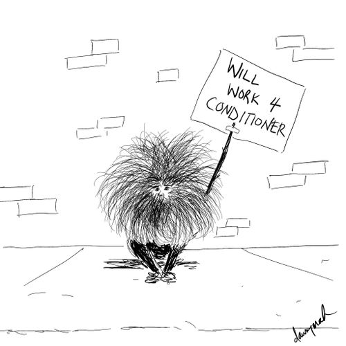 Will Work 4 Conditioner