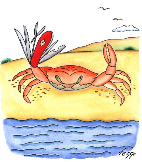 A crab with a utility knife claw