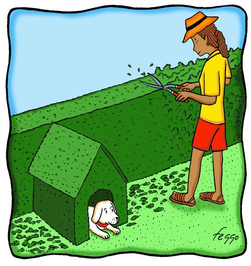 A topiary doghouse