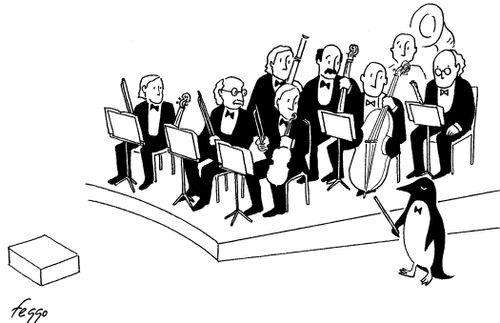 A penguin conductor