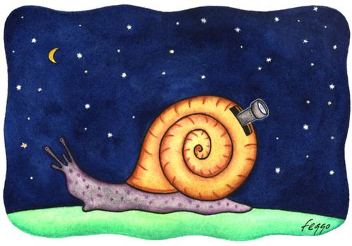 Snail Observatory