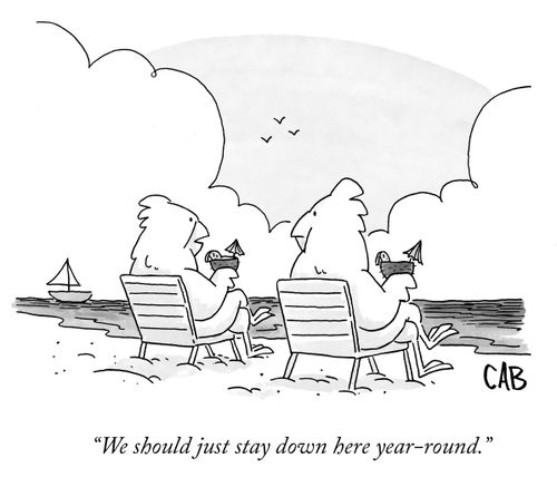 "We should just stay down here year-round."