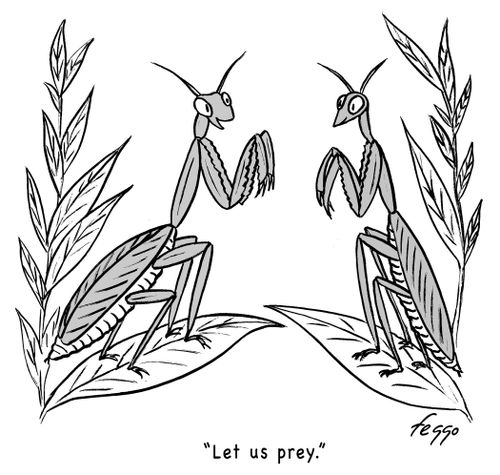 "Let us prey."