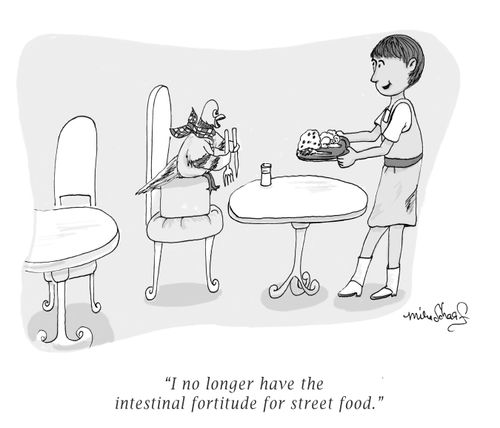 "I no longer have the intestinal fortitude for street food."