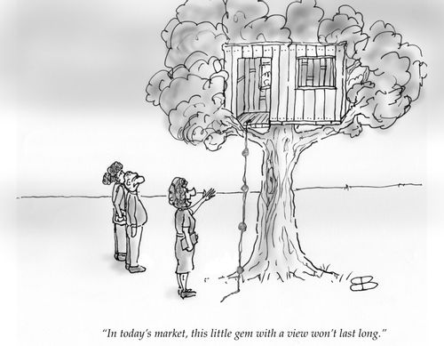 "In today's market, this little gem with a view won't last long."