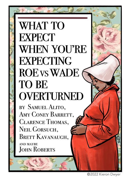 What to Expect When You're Expecting Roe vs Wade To Be Overturned