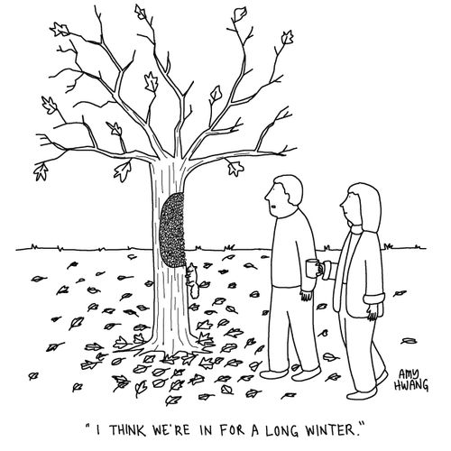 "I think we're in for a long winter."