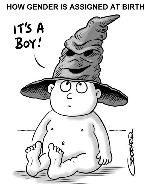 How Gender is Assigned at Birth